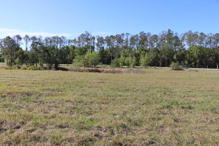 CR 48, BUSHNELL, FL, 33513