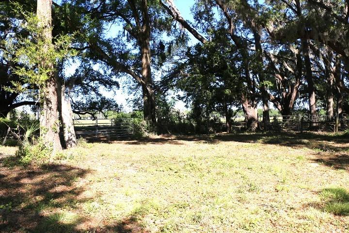 CR 48, BUSHNELL, FL, 33513