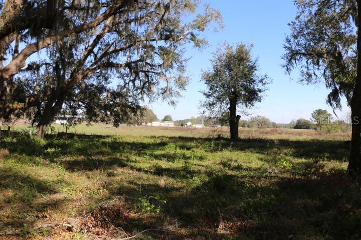CR 48, BUSHNELL, FL, 33513