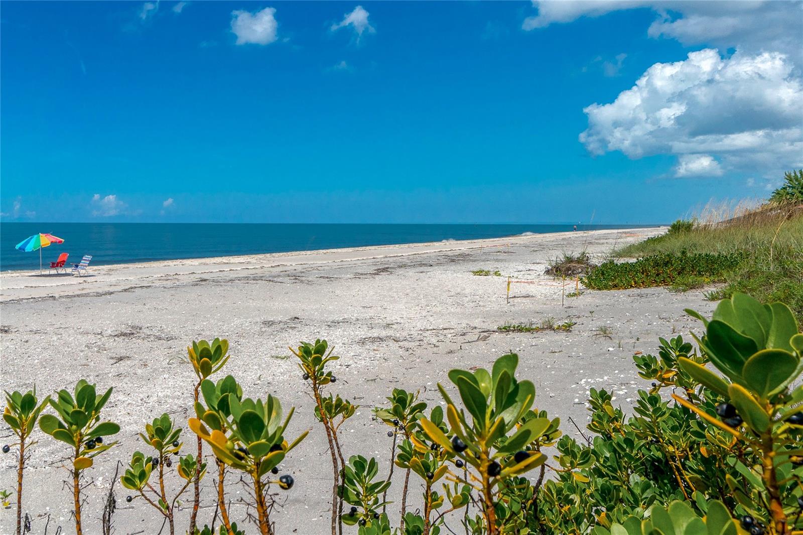 1490 SAINT CLAIR RD, ENGLEWOOD, FL, 34223