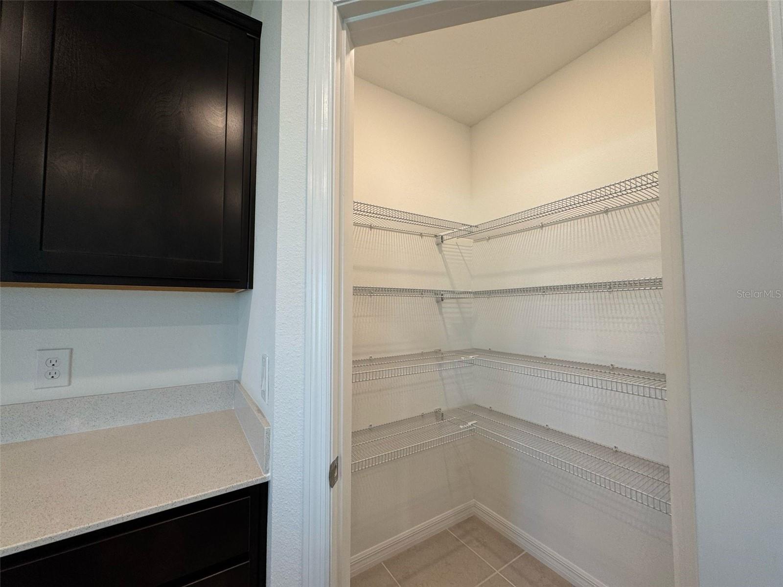 538 PINE TREE BLVD, LAKE ALFRED, FL, 33850