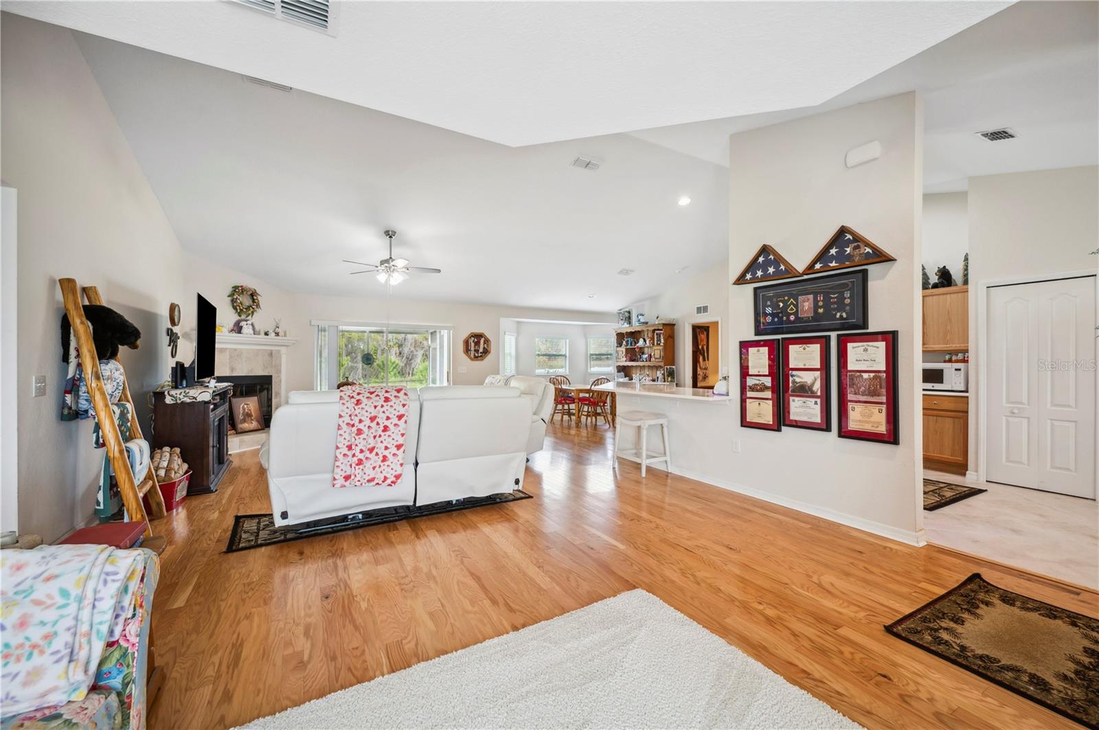 1888 CREEKS VISTA BLVD, LAKELAND, FL, 33810