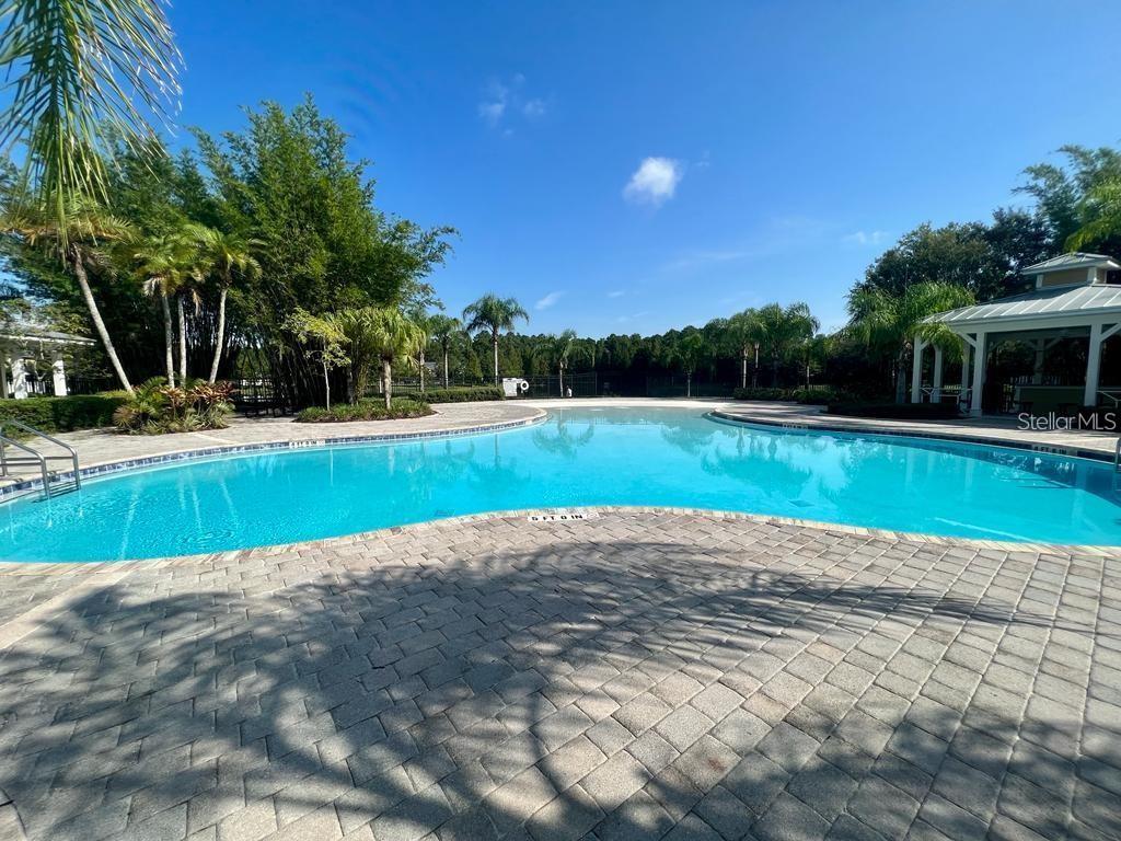 14320 DESERT HAVEN ST #3906, WINDERMERE, FL, 34786