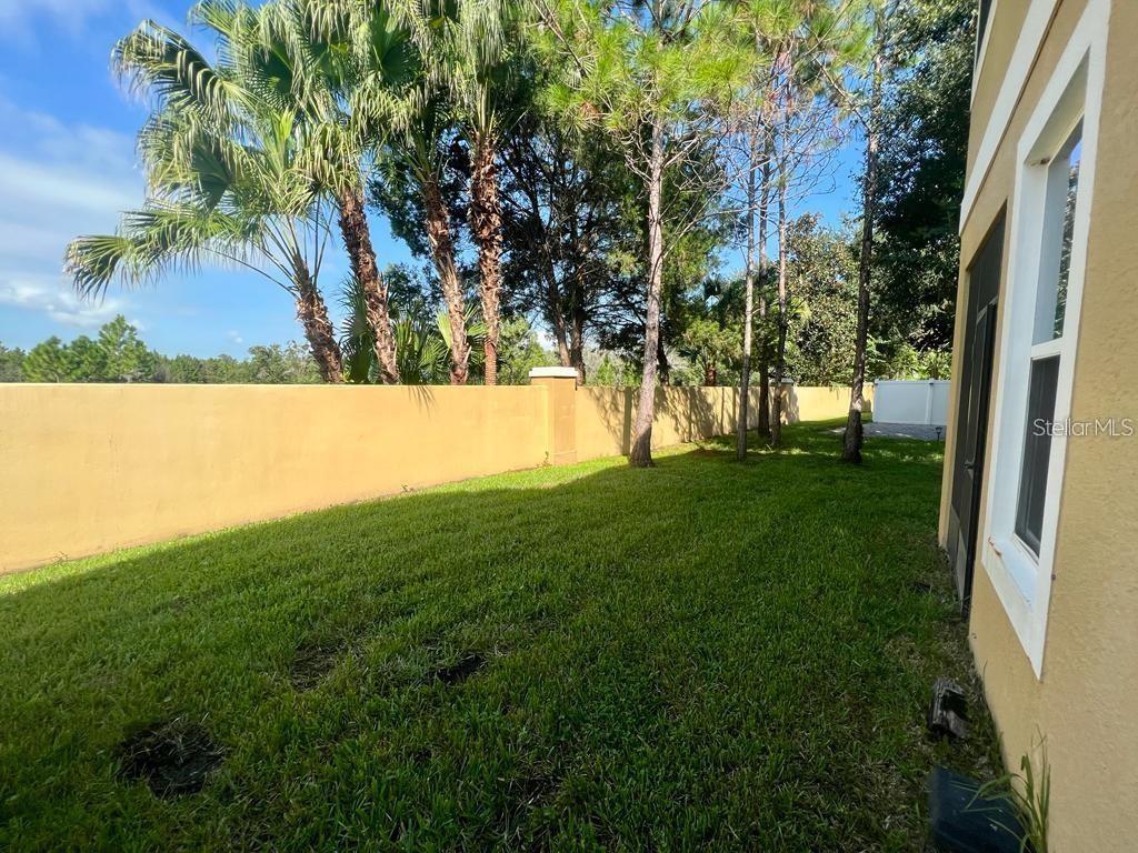 14320 DESERT HAVEN ST #3906, WINDERMERE, FL, 34786