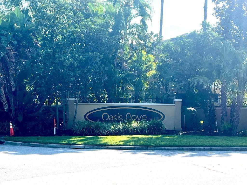 14320 DESERT HAVEN ST #3906, WINDERMERE, FL, 34786