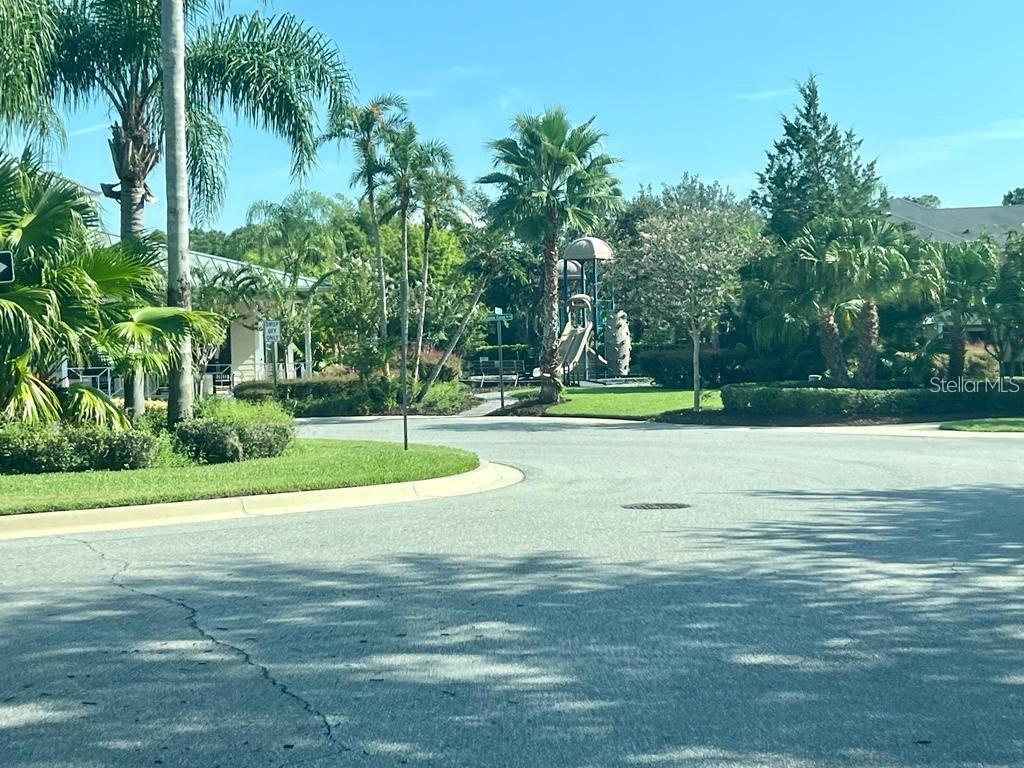 14320 DESERT HAVEN ST #3906, WINDERMERE, FL, 34786