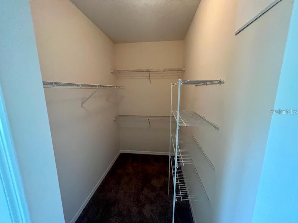 14320 DESERT HAVEN ST #3906, WINDERMERE, FL, 34786