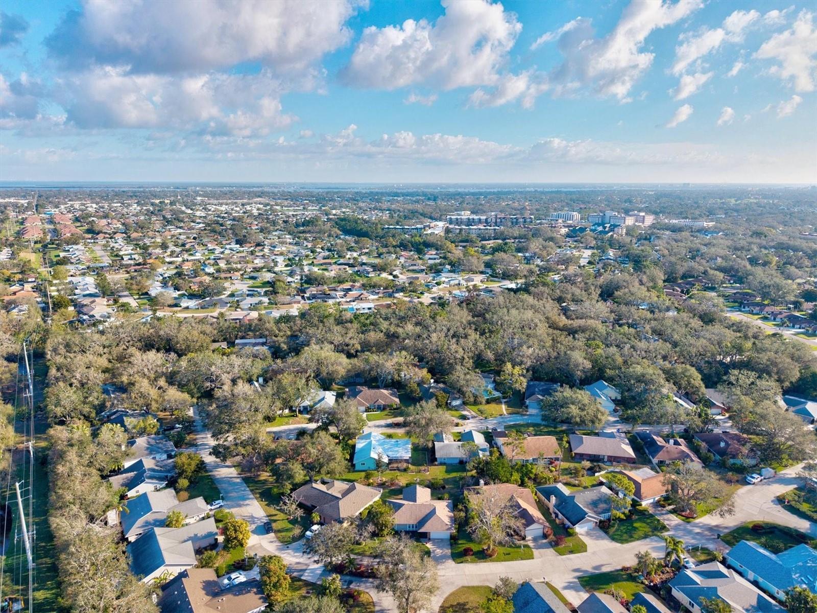 6929 ARBOR OAKS CIR, BRADENTON, FL, 34209