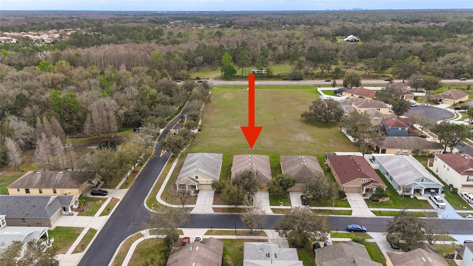 1134 NAPOLEAN WAY, WESLEY CHAPEL, FL, 33544
