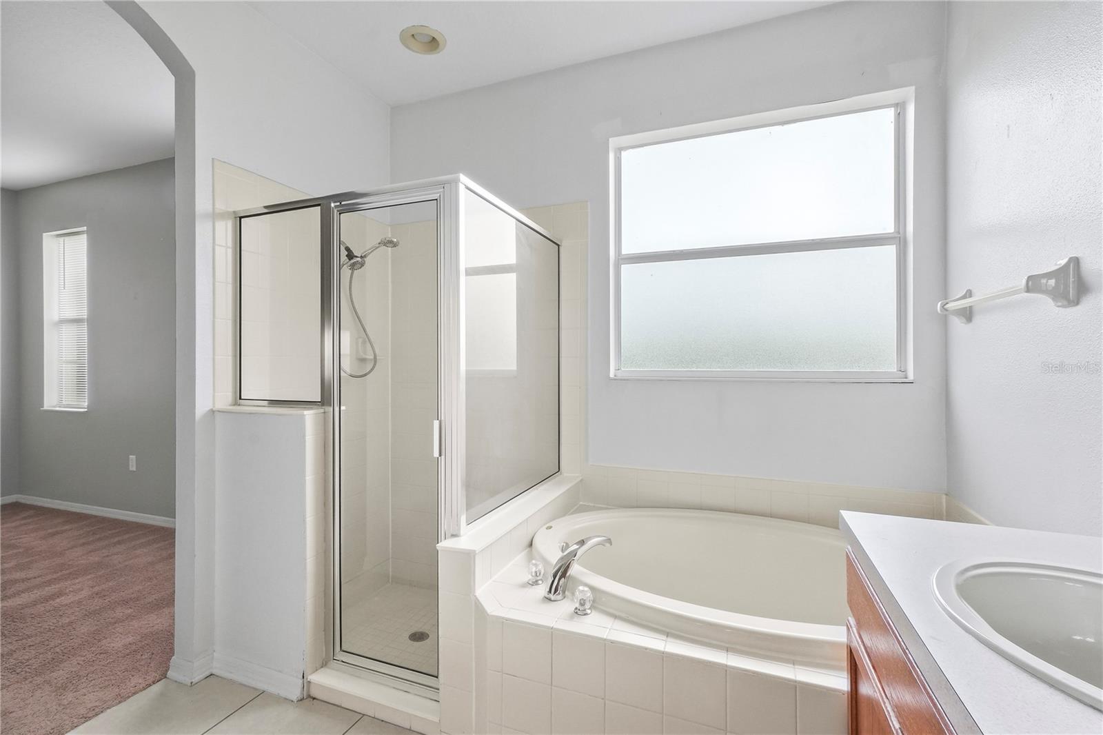 1134 NAPOLEAN WAY, WESLEY CHAPEL, FL, 33544