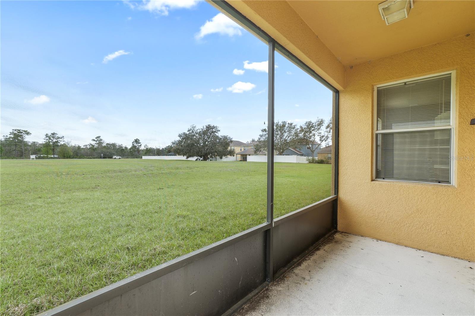 1134 NAPOLEAN WAY, WESLEY CHAPEL, FL, 33544
