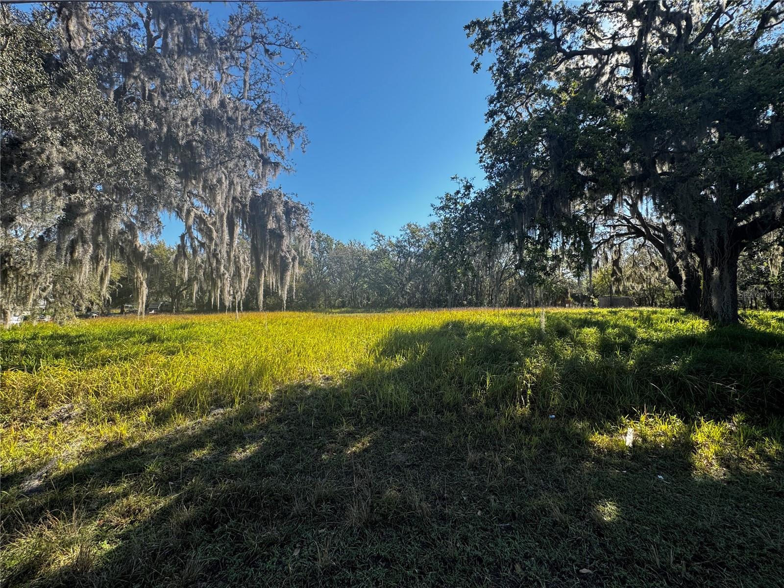 314 TOMATO HILL RD, LEESBURG, FL, 34748