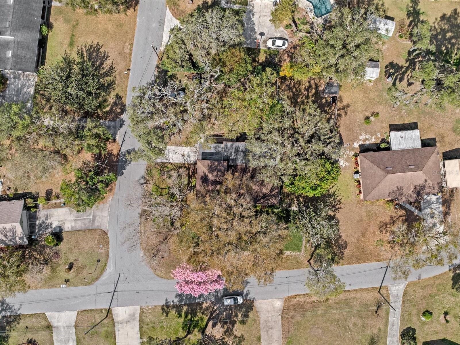 1228 WALKER CIR S, LAKELAND, FL, 33805