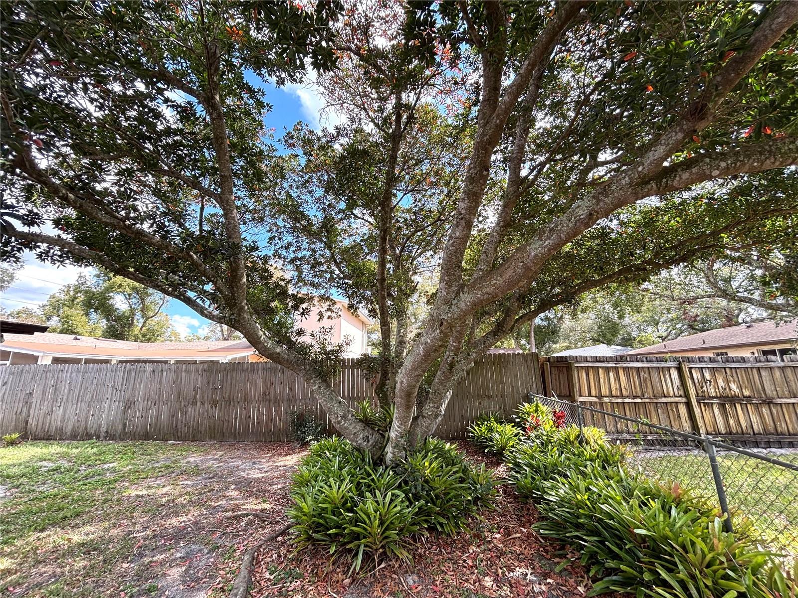 380 BANYAN DR, MAITLAND, FL, 32751