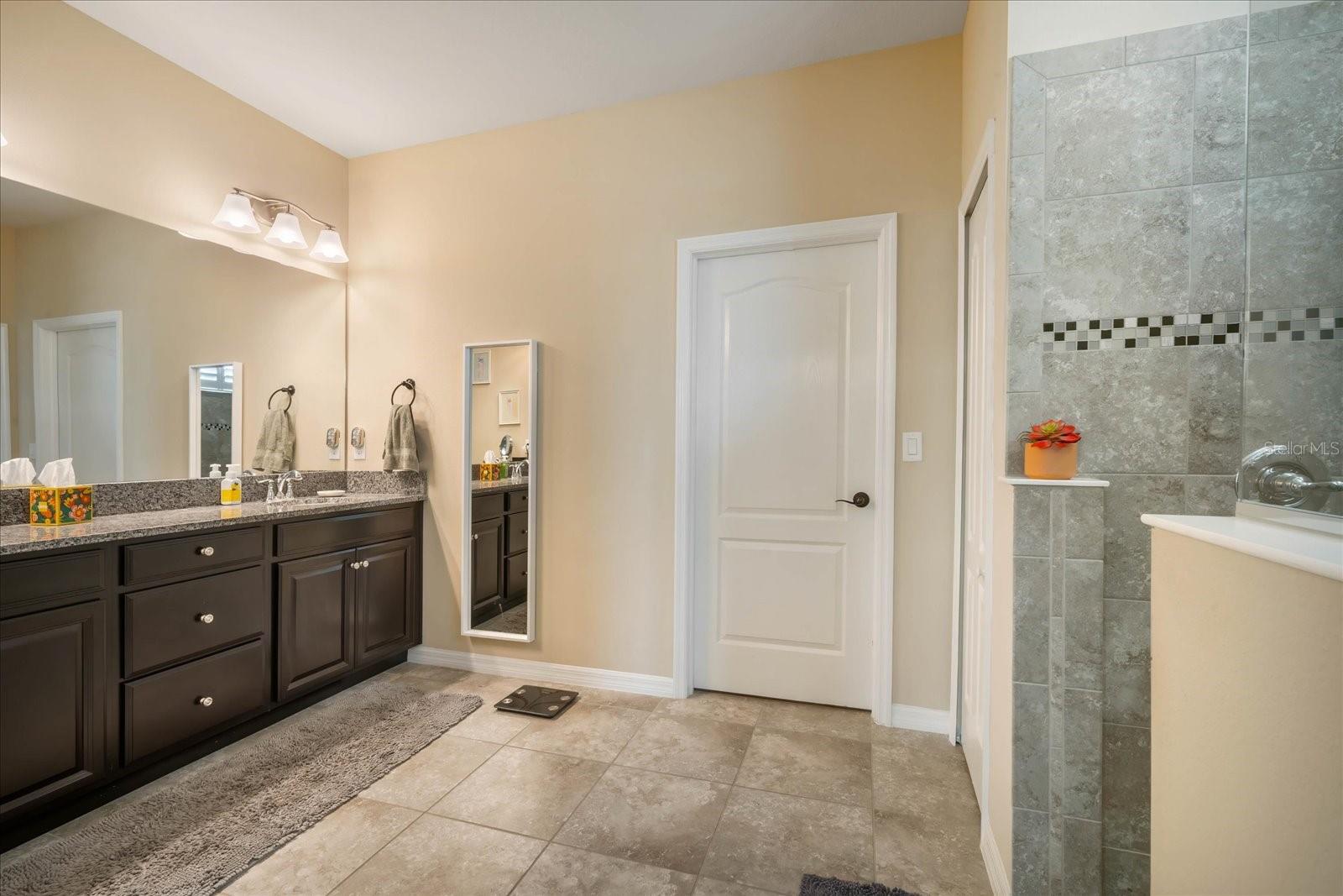 11834 LAKE LUCAYA DR, RIVERVIEW, FL, 33579