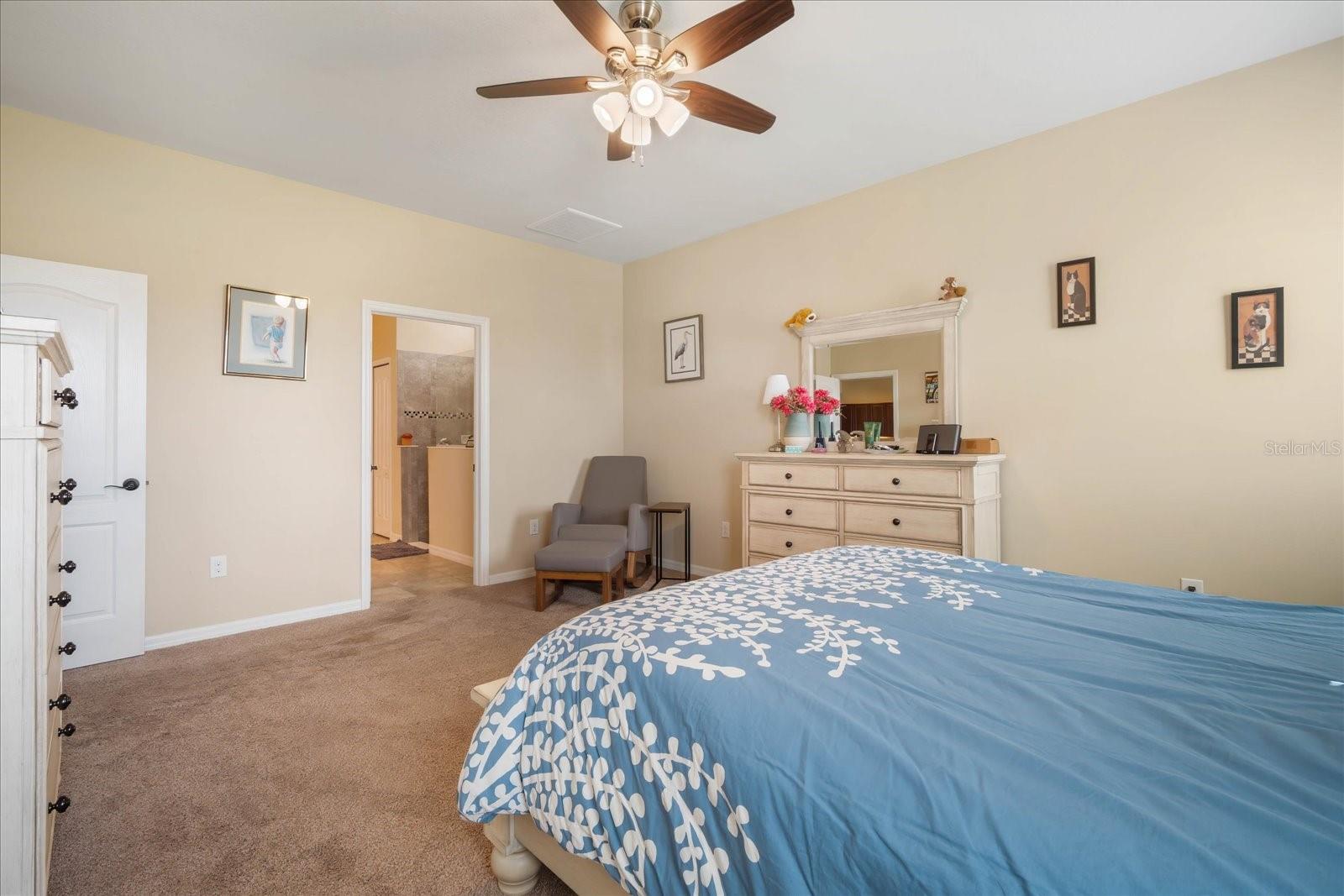11834 LAKE LUCAYA DR, RIVERVIEW, FL, 33579