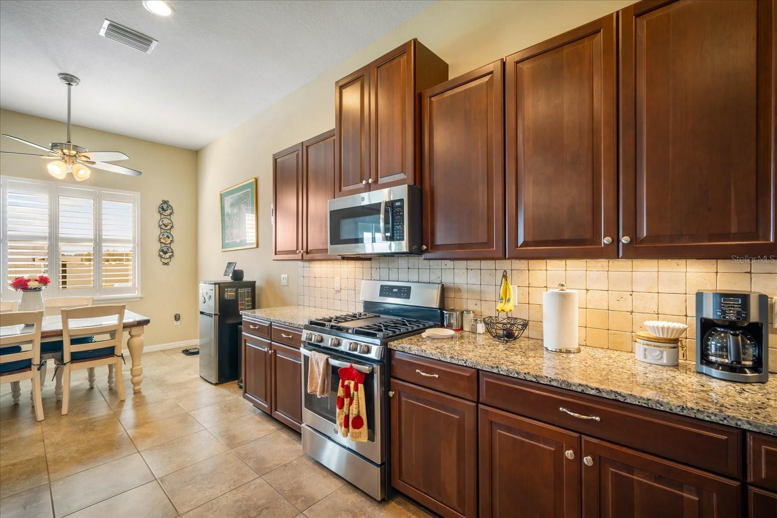 11834 LAKE LUCAYA DR, RIVERVIEW, FL, 33579