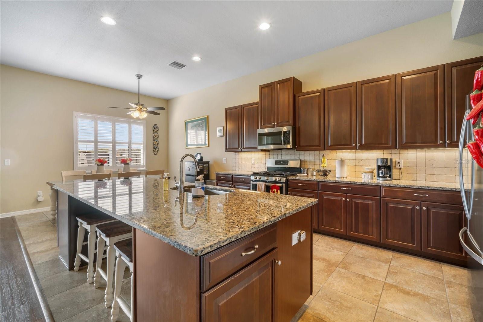 11834 LAKE LUCAYA DR, RIVERVIEW, FL, 33579