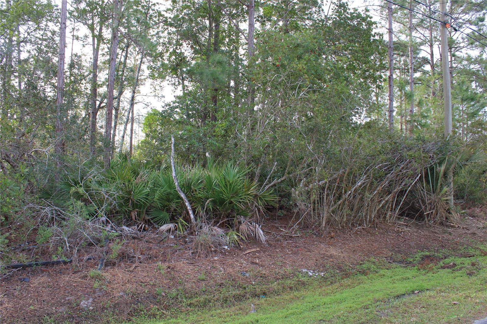 14 RIVERSIDE LN, PALM COAST, FL, 32164