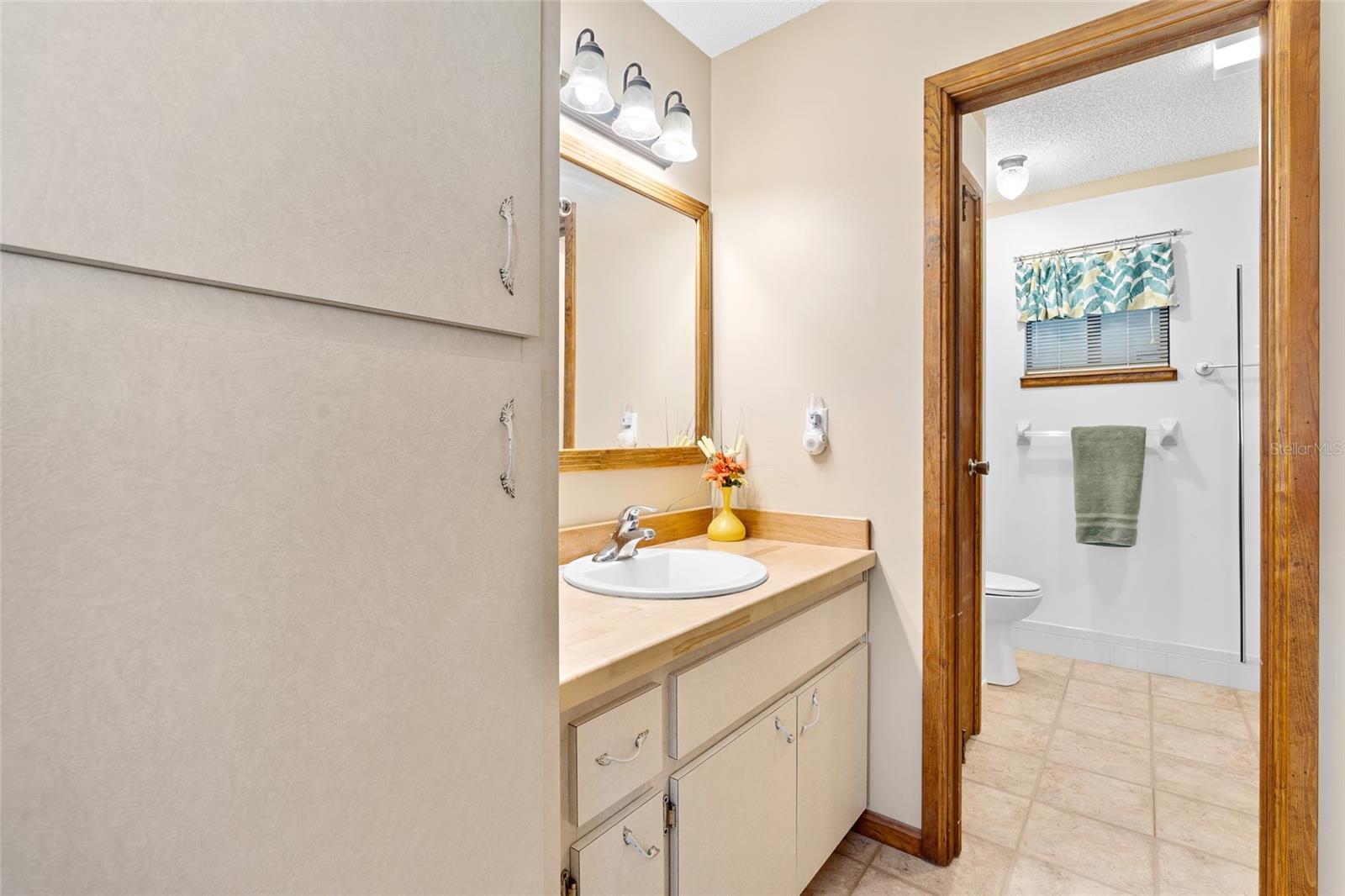 8973 SW 104TH PL, OCALA, FL, 34481