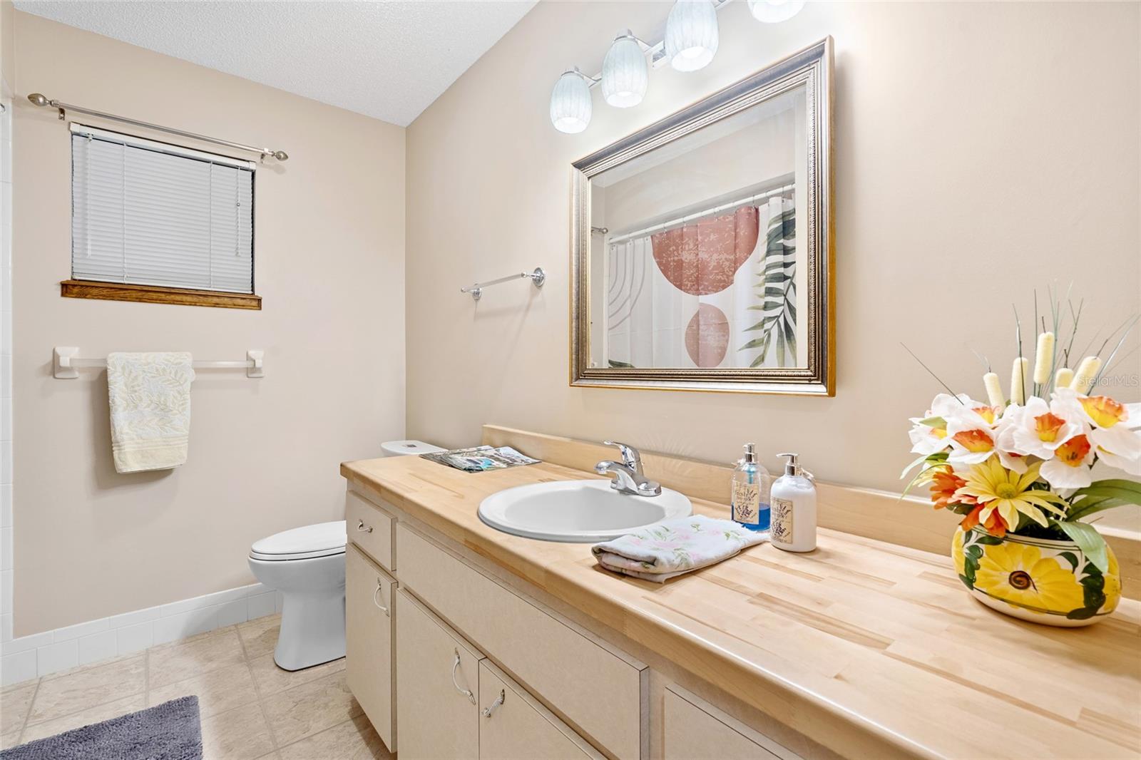 8973 SW 104TH PL, OCALA, FL, 34481