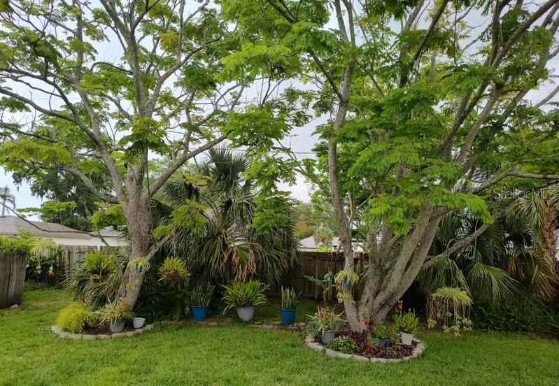 2409 VICTORY PALM DR, EDGEWATER, FL, 32141