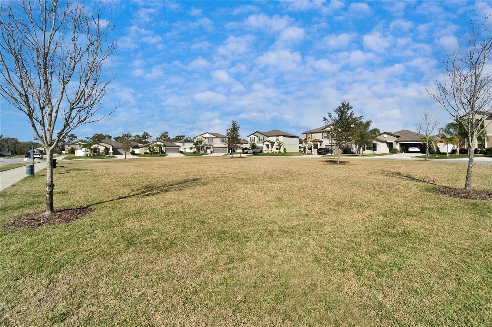 13006 TIDAL FLATS LOOP, RIVERVIEW, FL, 33579