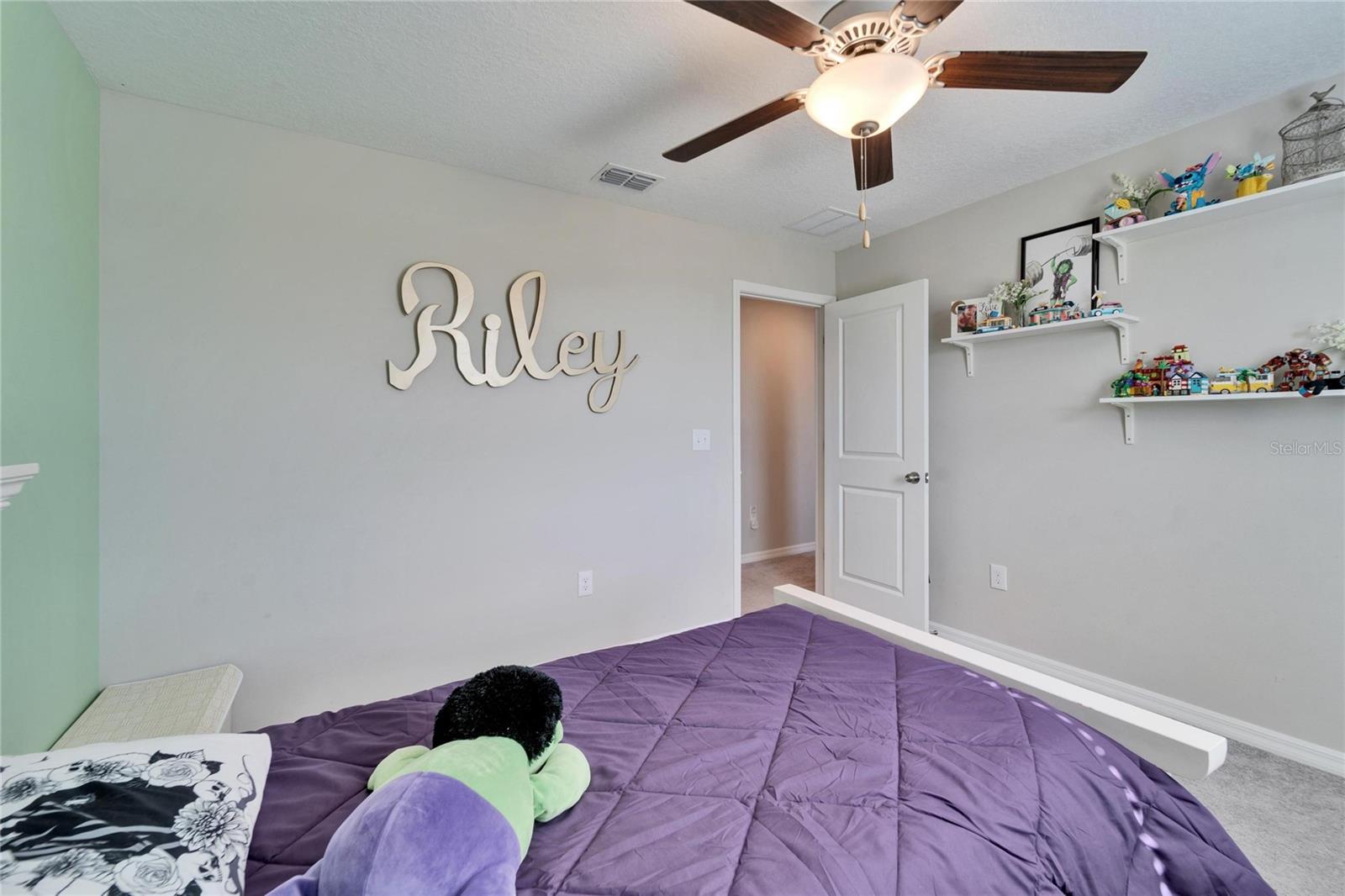 13006 TIDAL FLATS LOOP, RIVERVIEW, FL, 33579