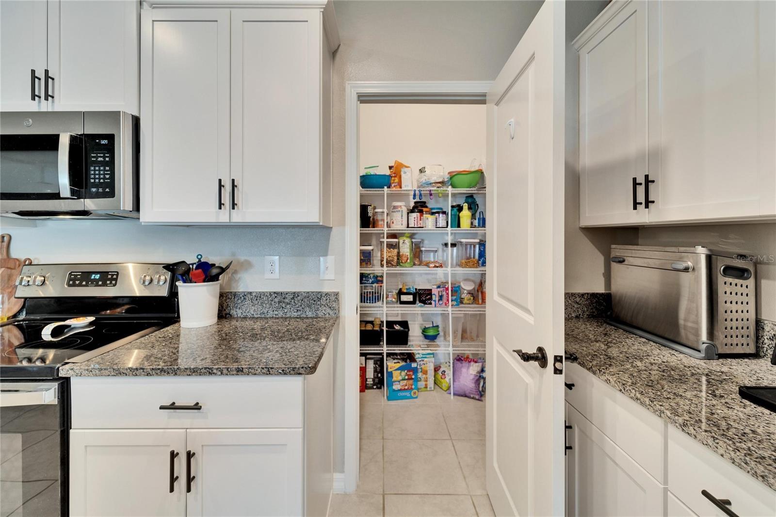 13006 TIDAL FLATS LOOP, RIVERVIEW, FL, 33579