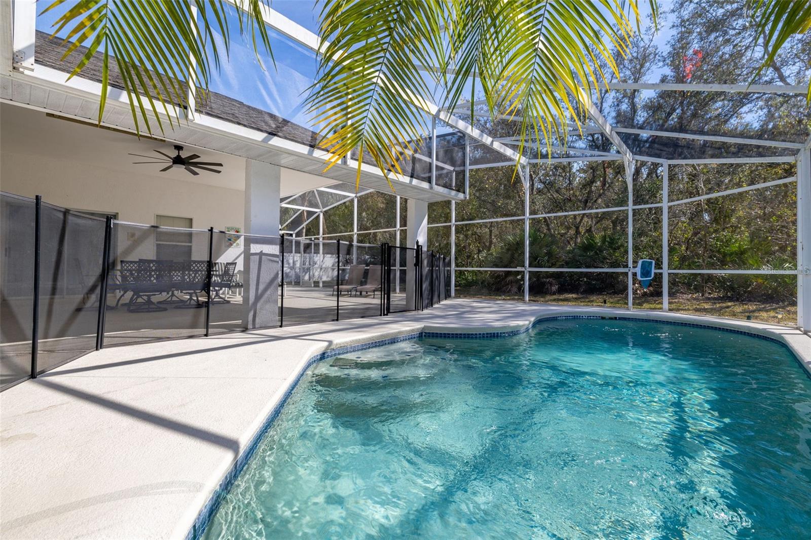248 BREEZY OAKS CT, DAVENPORT, FL, 33896