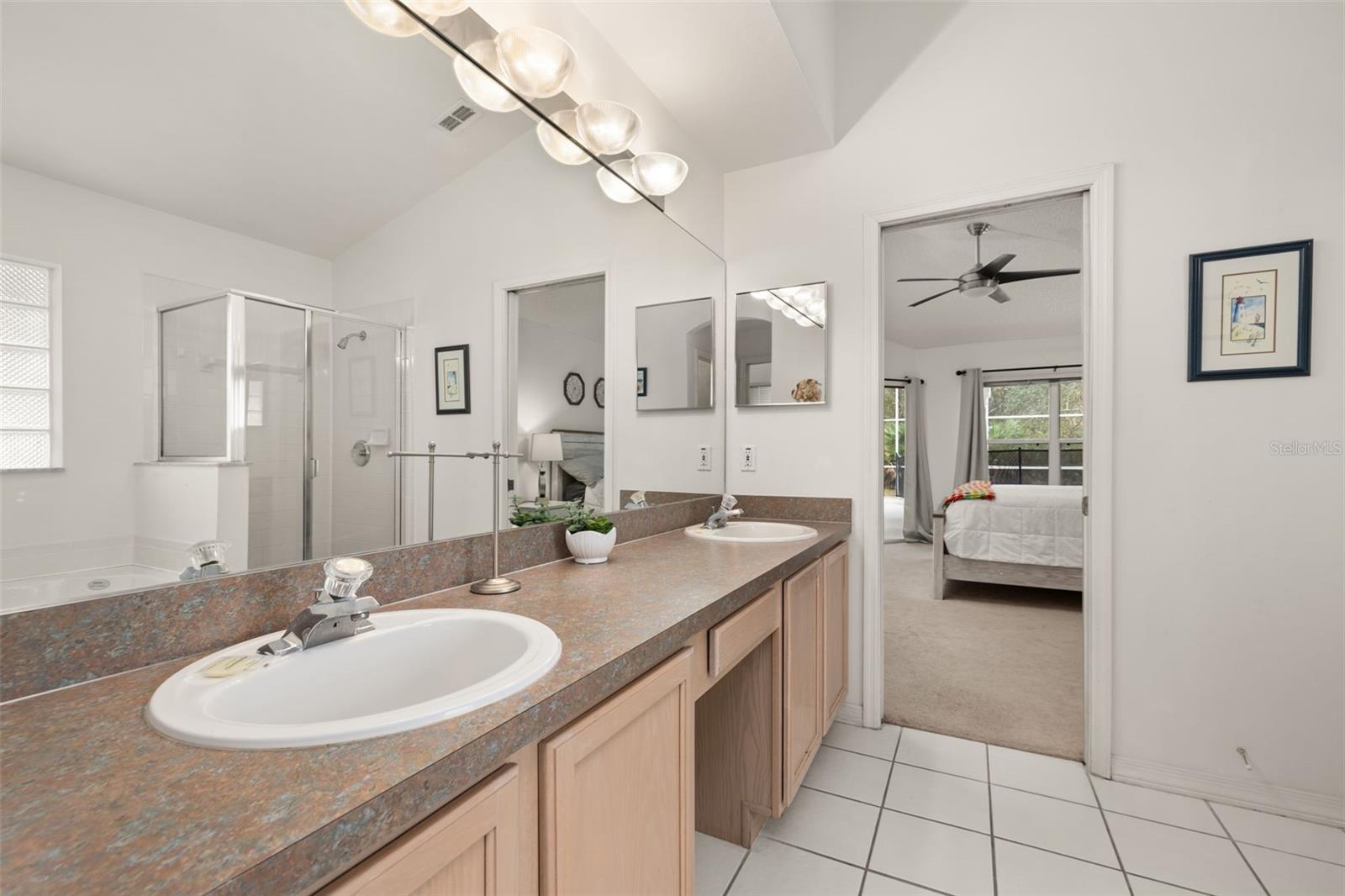 248 BREEZY OAKS CT, DAVENPORT, FL, 33896