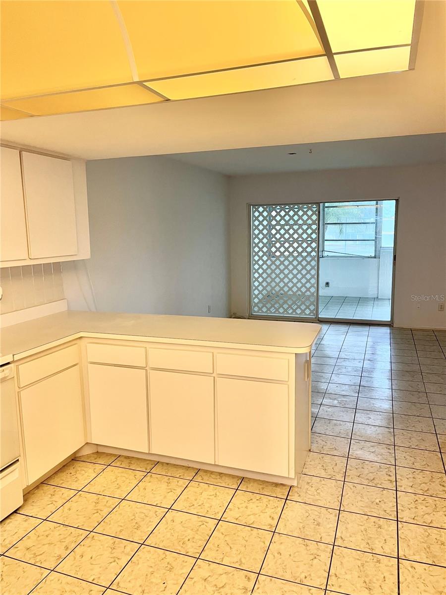 1321 N MCMULLEN BOOTH RD #1321, CLEARWATER, FL, 33759