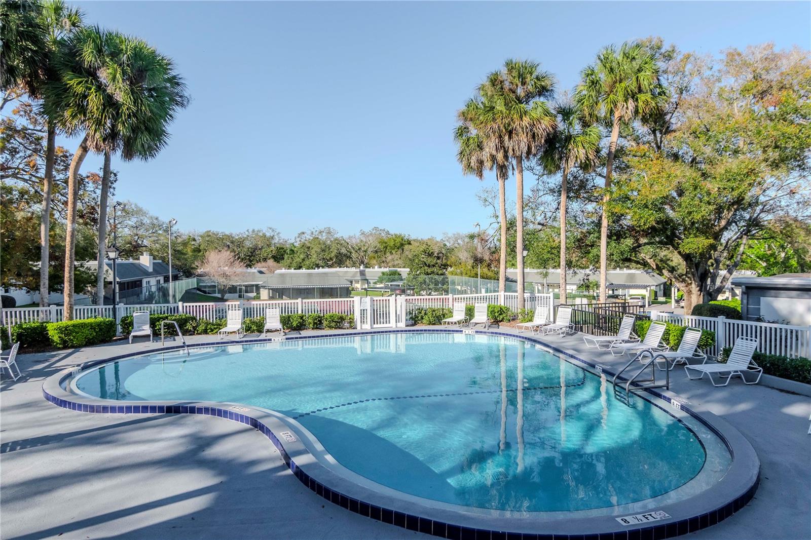 1321 N MCMULLEN BOOTH RD #1321, CLEARWATER, FL, 33759