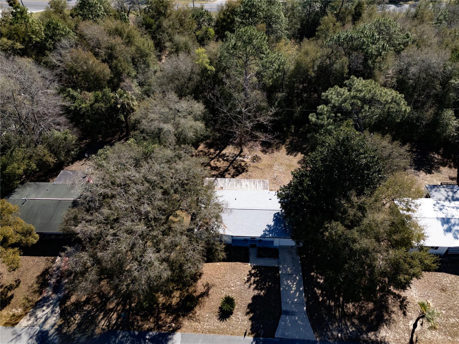 1441 NE 157TH AVE, WILLISTON, FL, 32696