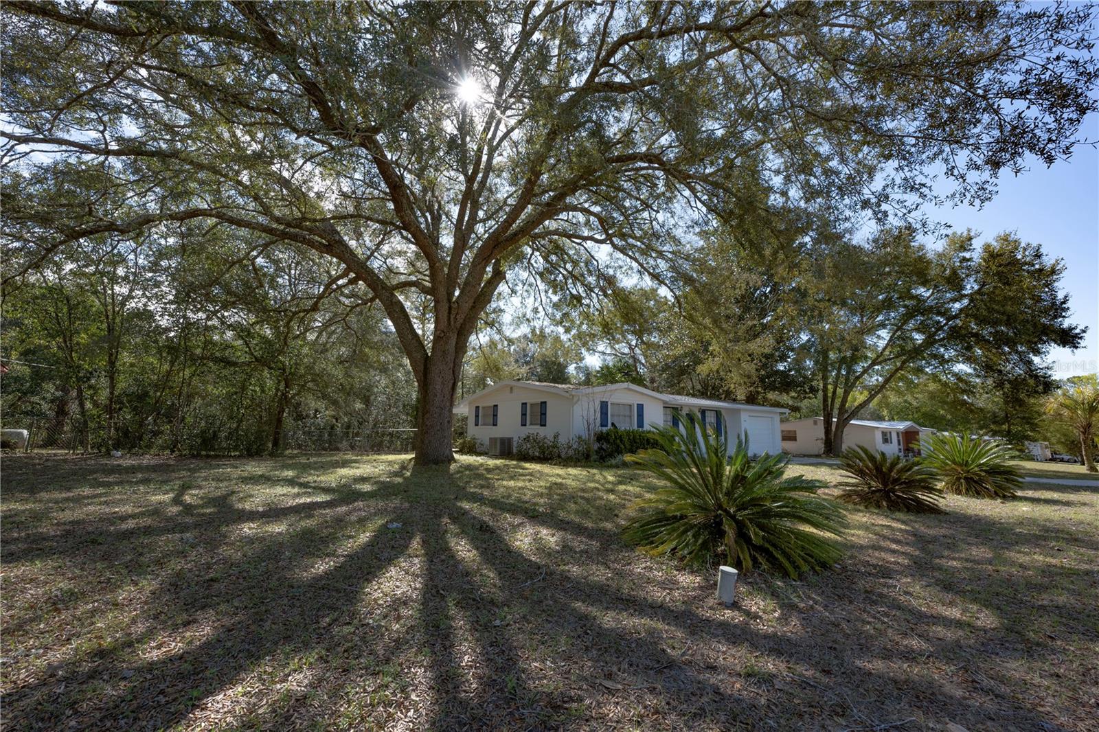 1441 NE 157TH AVE, WILLISTON, FL, 32696