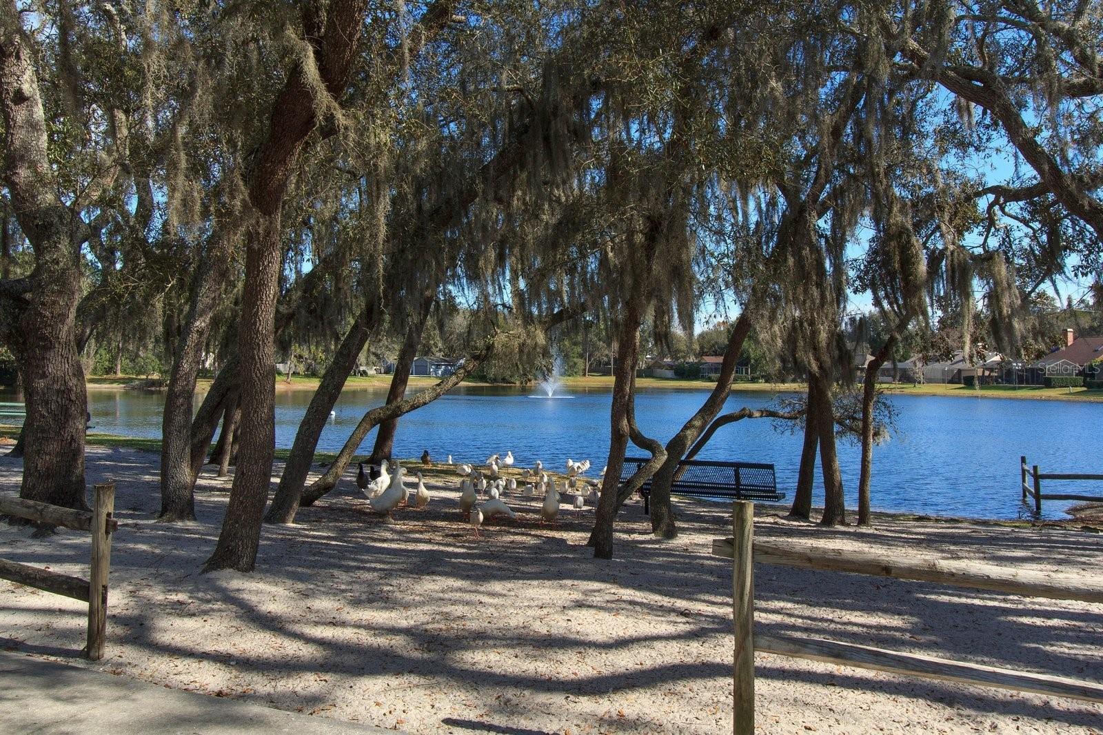 113 WHEATLAND CT, LONGWOOD, FL, 32779