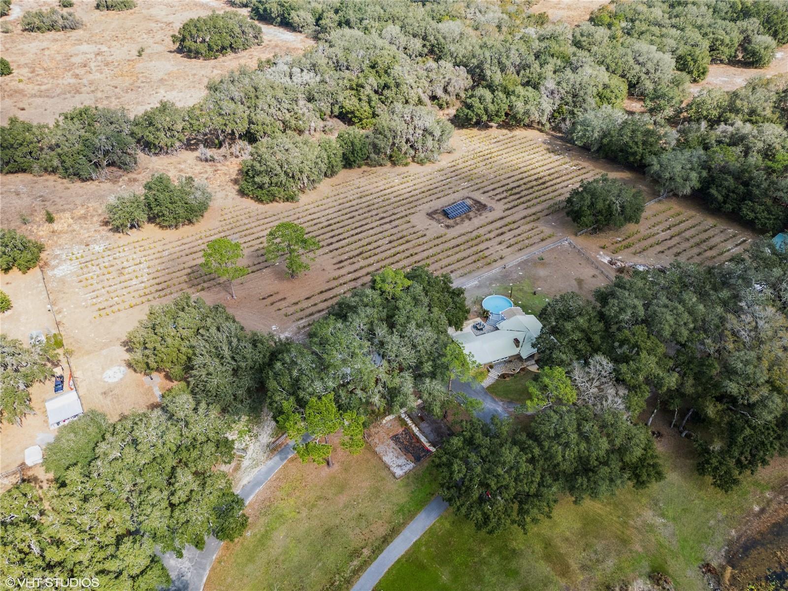 5117 CR 316A, BUSHNELL, FL, 33513