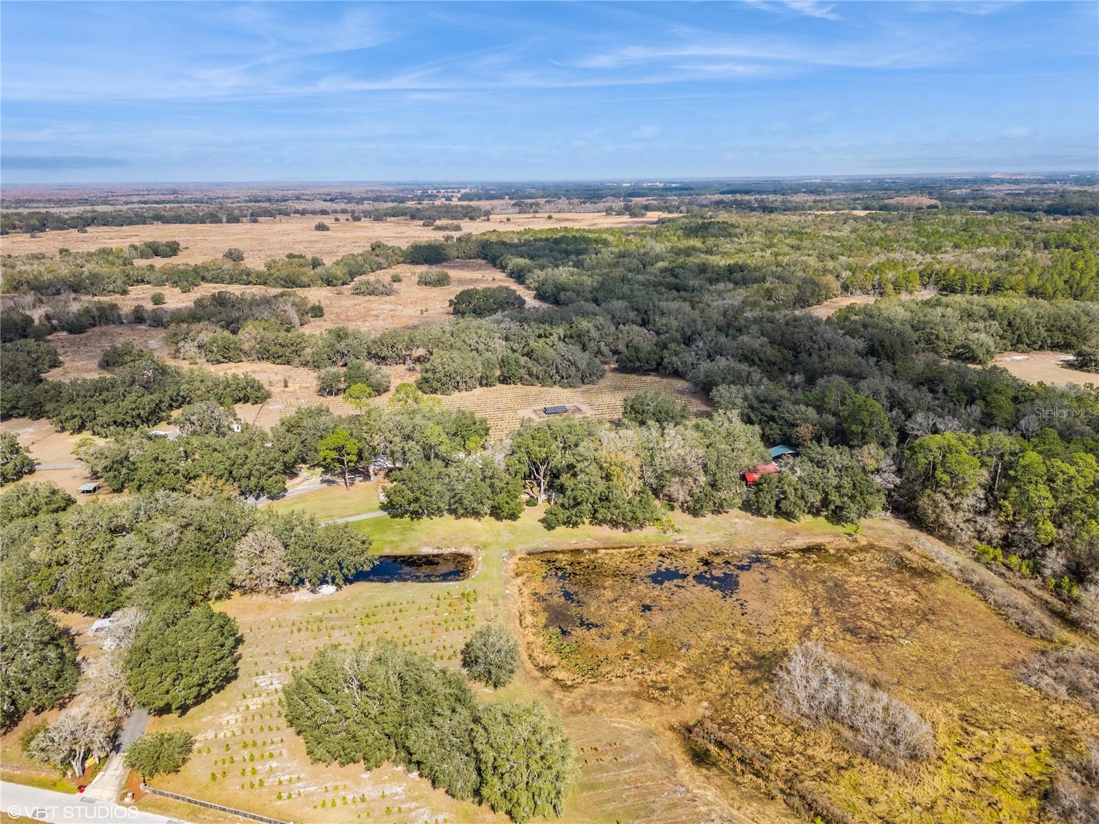5117 CR 316A, BUSHNELL, FL, 33513