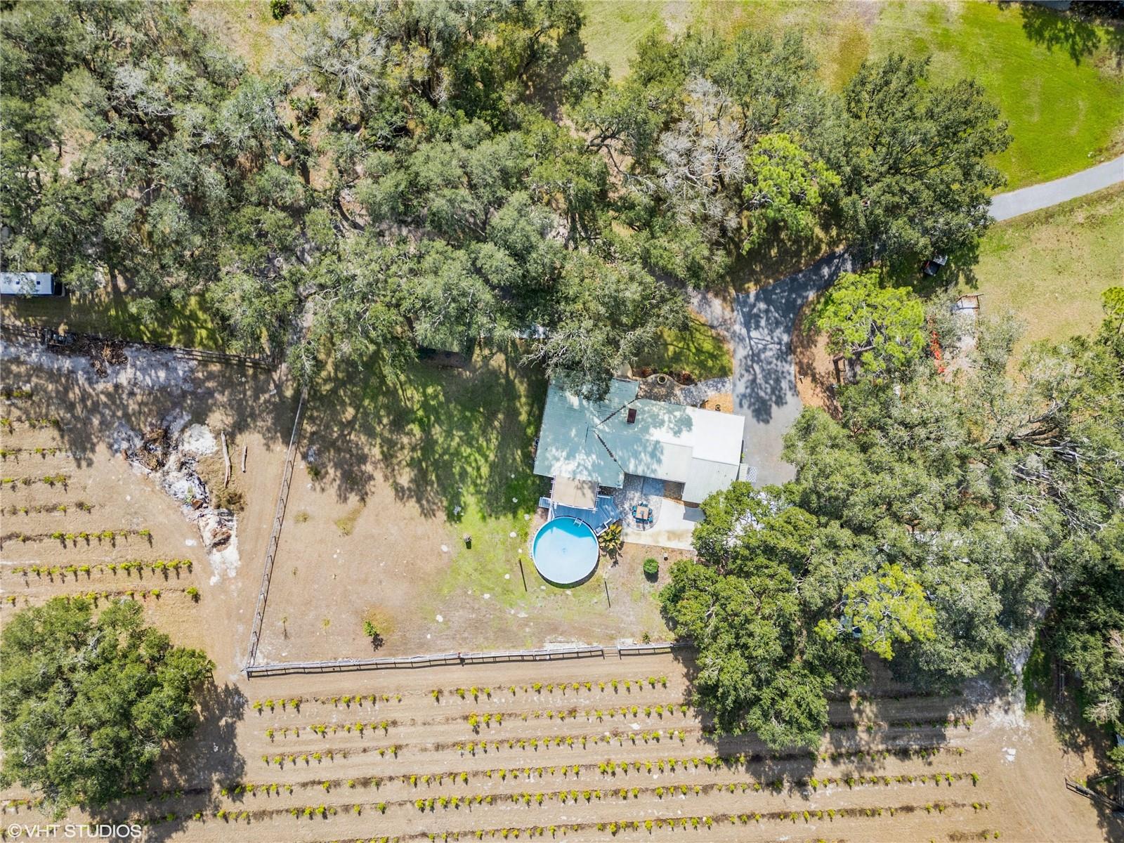 5117 CR 316A, BUSHNELL, FL, 33513