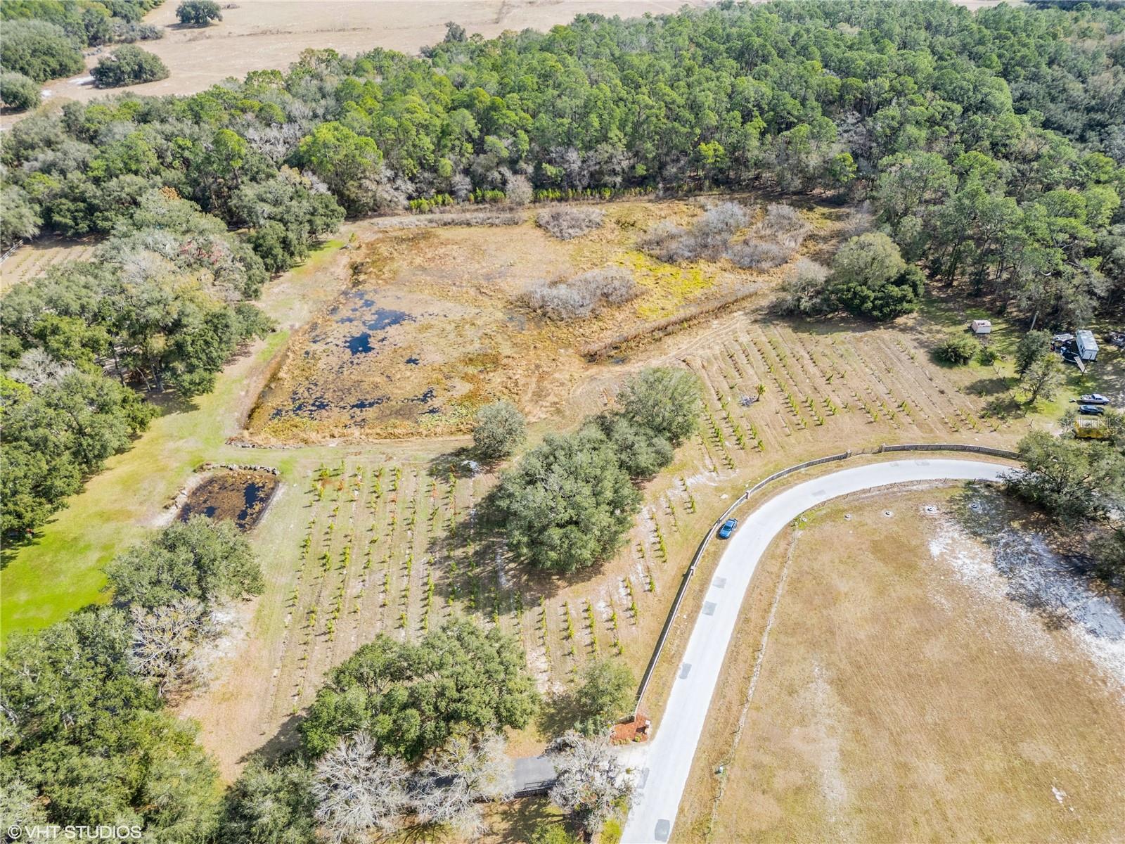 5117 CR 316A, BUSHNELL, FL, 33513