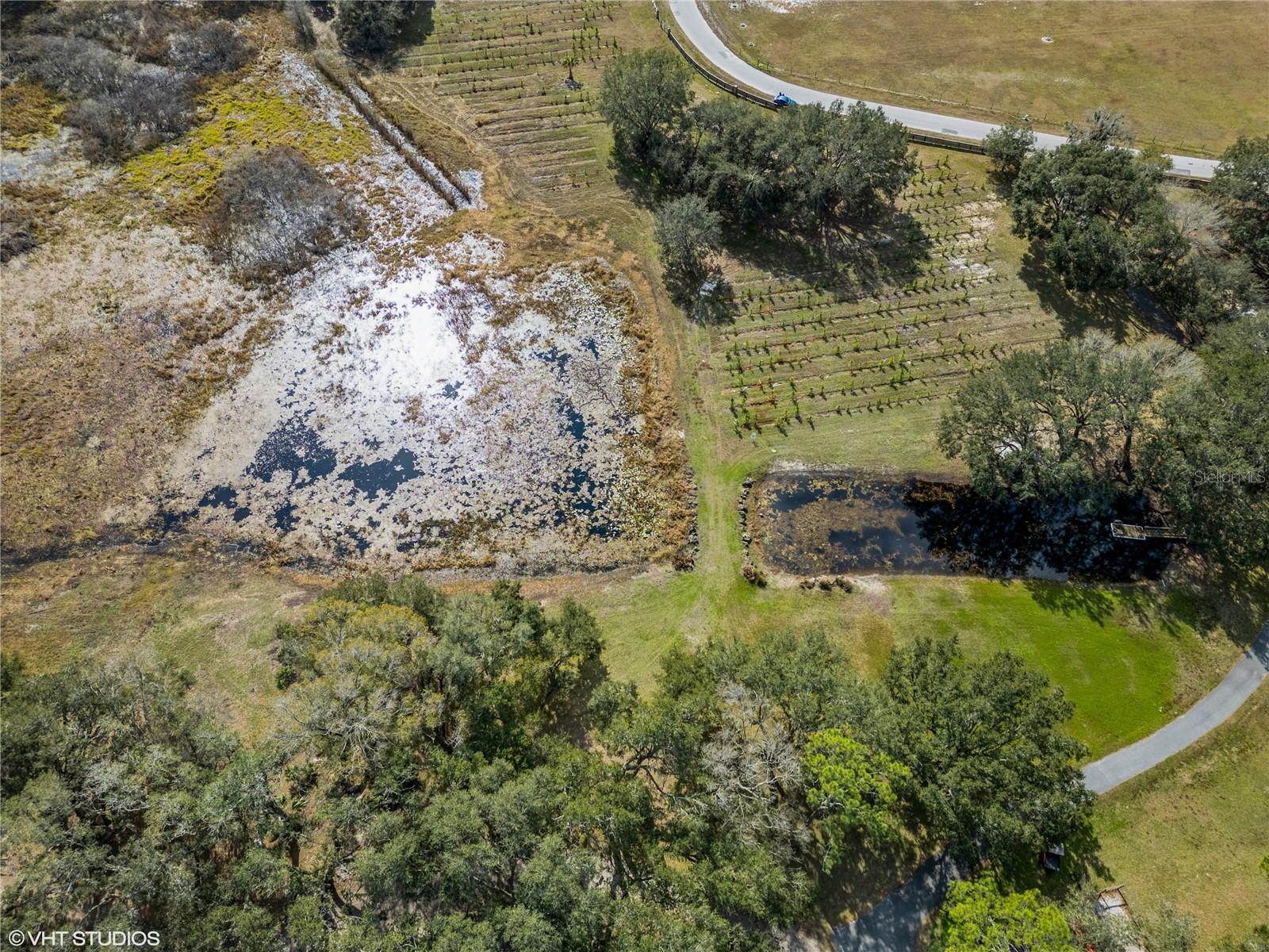 5117 CR 316A, BUSHNELL, FL, 33513