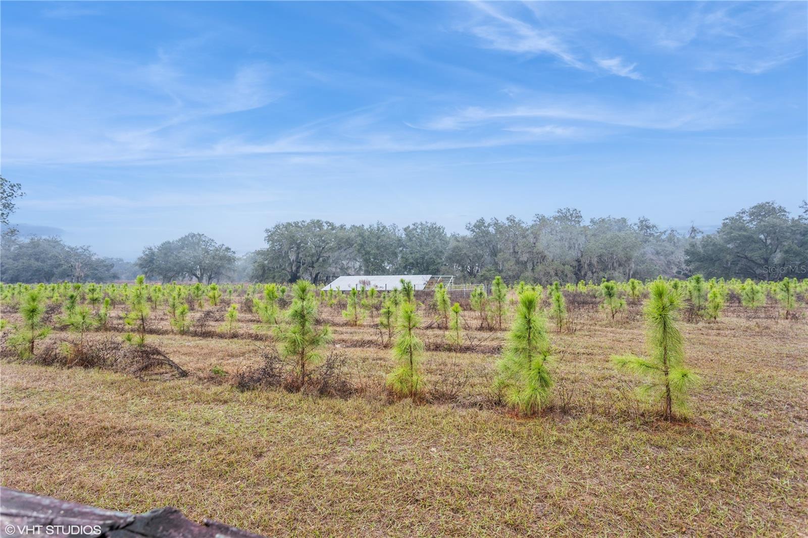 5117 CR 316A, BUSHNELL, FL, 33513