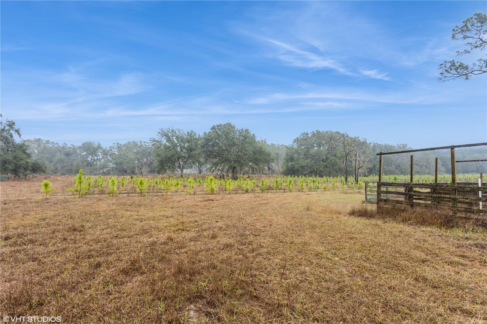 5117 CR 316A, BUSHNELL, FL, 33513