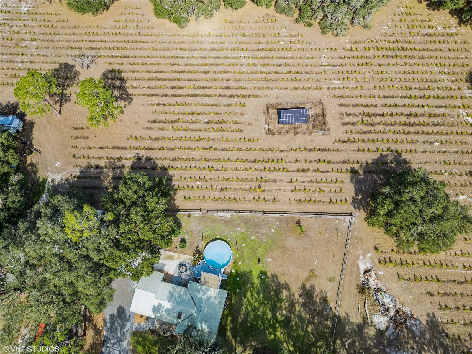 5117 CR 316A, BUSHNELL, FL, 33513