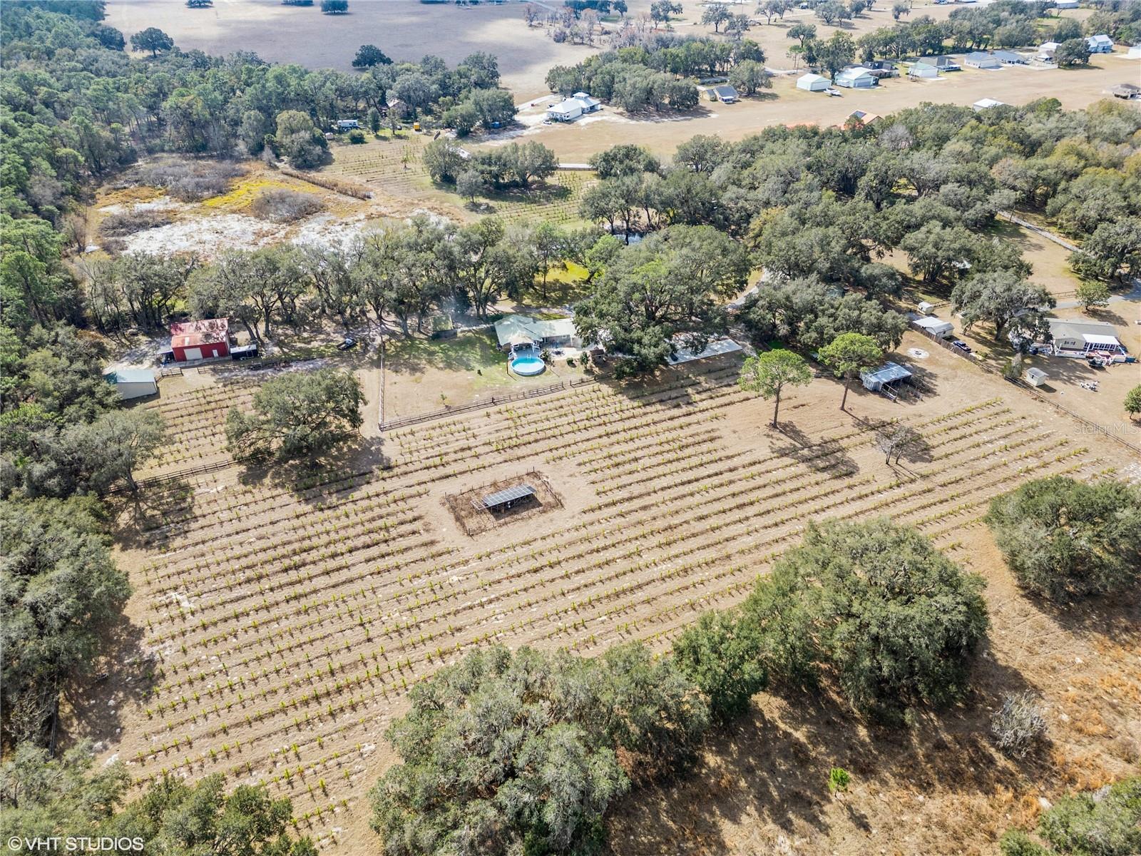 5117 CR 316A, BUSHNELL, FL, 33513