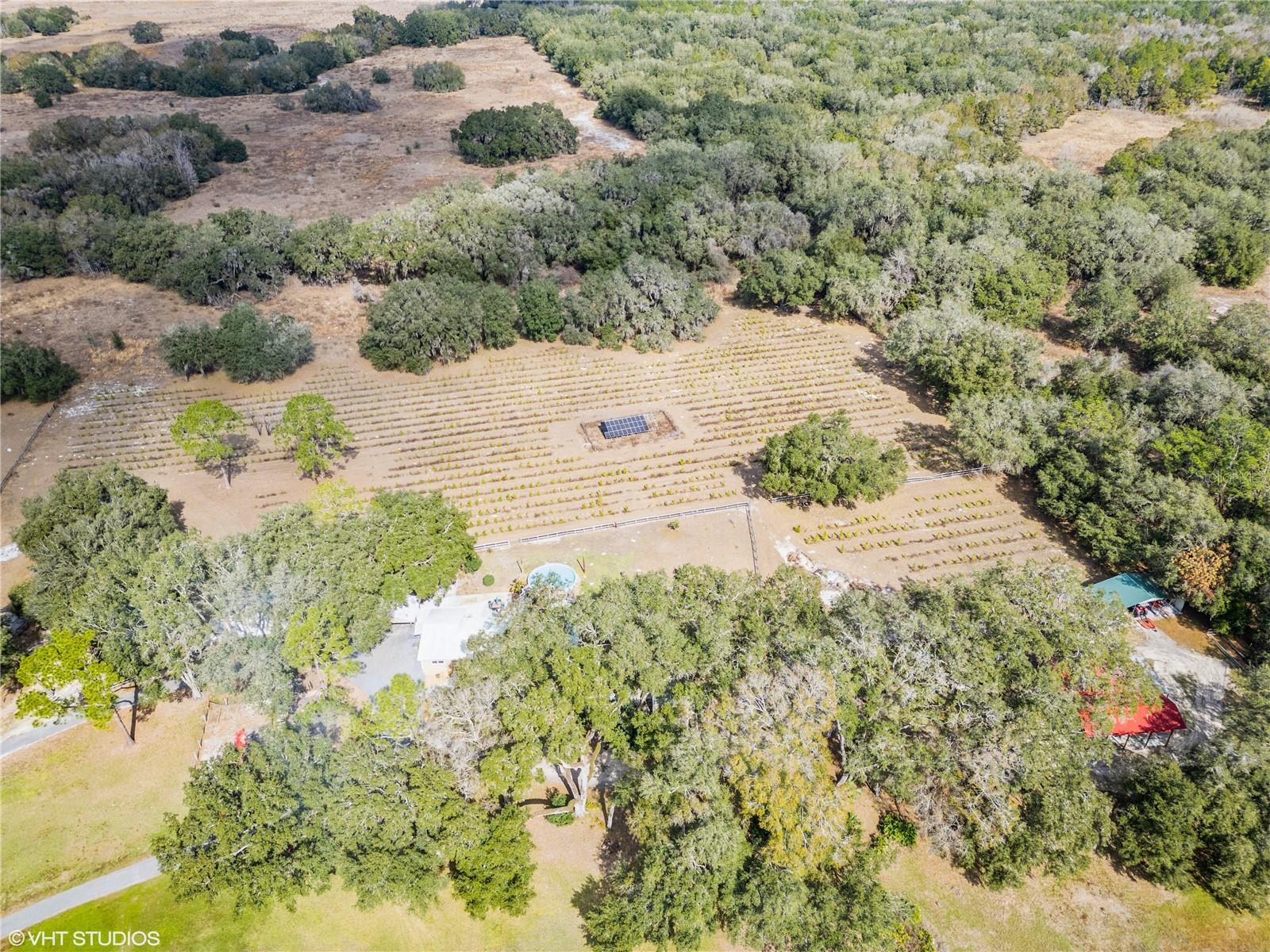 5117 CR 316A, BUSHNELL, FL, 33513