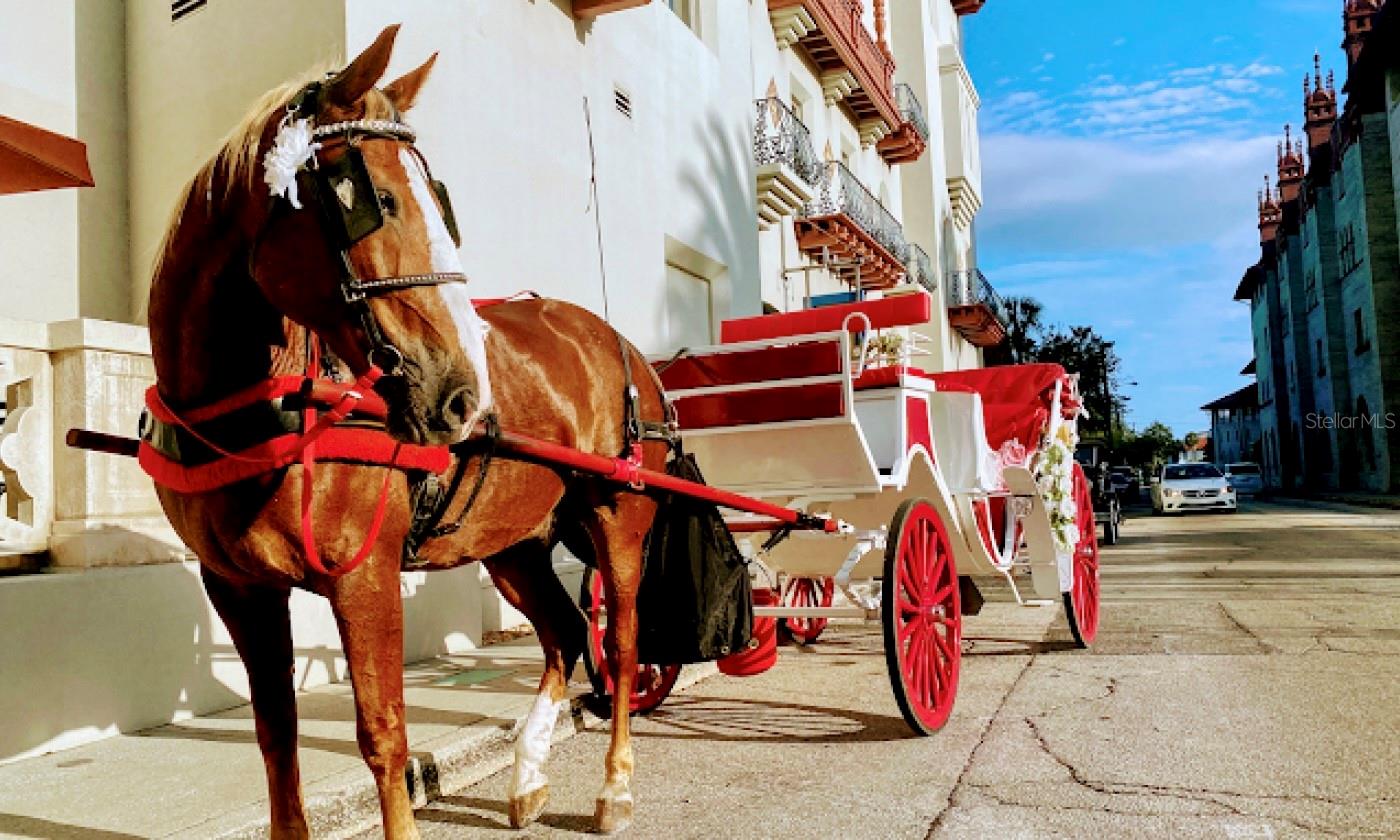 160 ONEIDA ST, ST AUGUSTINE, FL, 32084