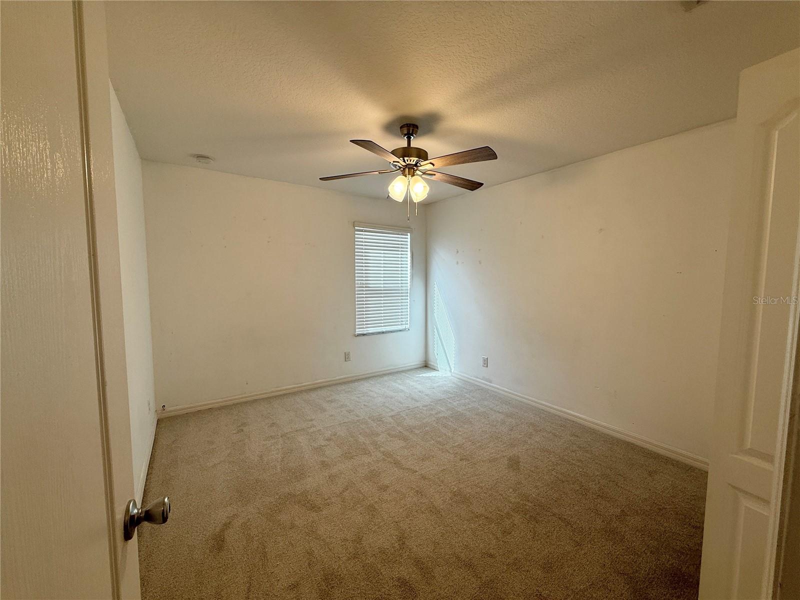 1844 LEATHER FERN DR, OCOEE, FL, 34761