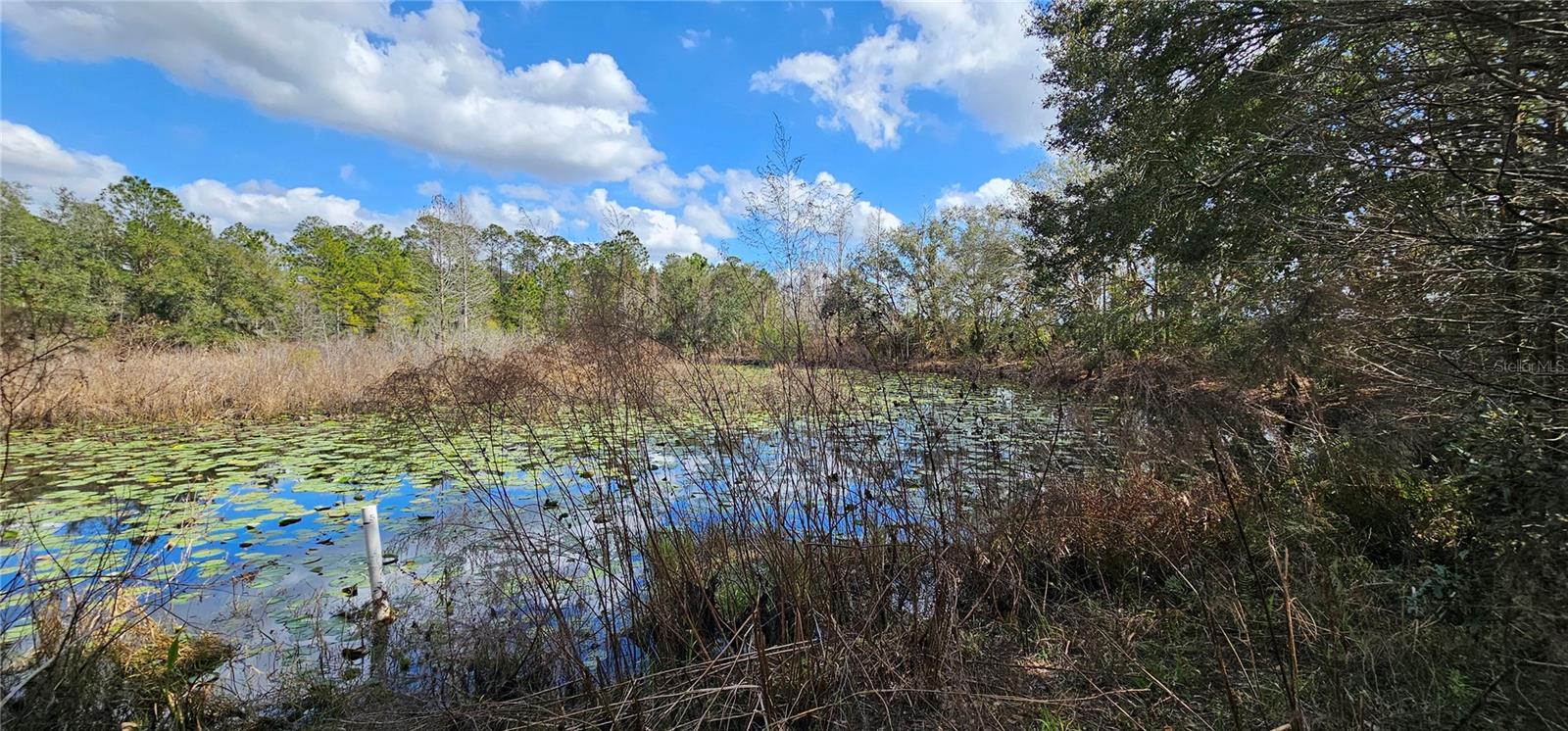 17932 WENDY SUE AVE, HUDSON, FL, 34667