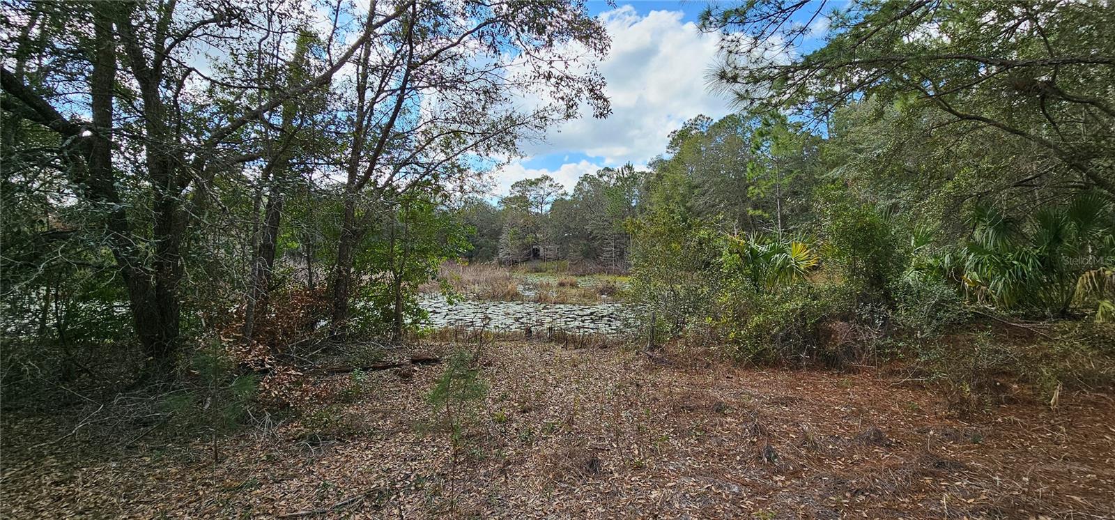 17932 WENDY SUE AVE, HUDSON, FL, 34667